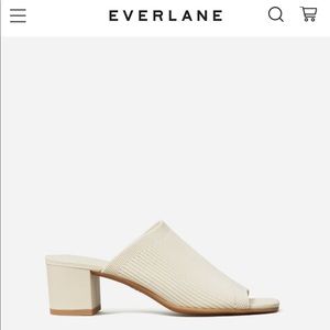 SOLD OUT EVERYWHERE Everlane glove mule in re-knit